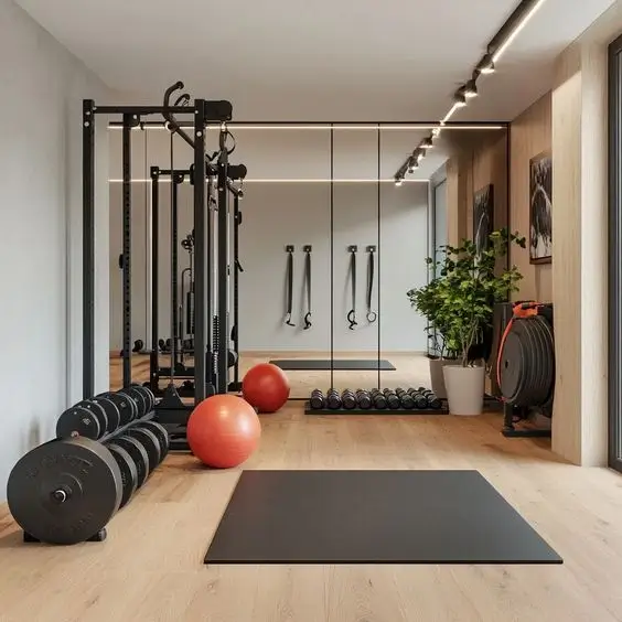 Minimalist home gym setup for strength training and treadmill or elliptical workouts.